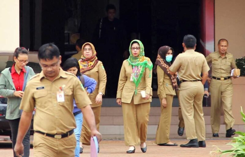 CPNS 2024 (Sumber foto equator.co.id)